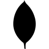 MongoDB Database by Neutron Labs
